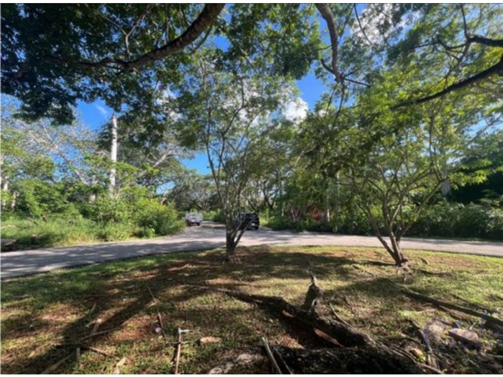 Venta Terreno Club de Golf La Ceiba Mérida Yucatán — foto 4