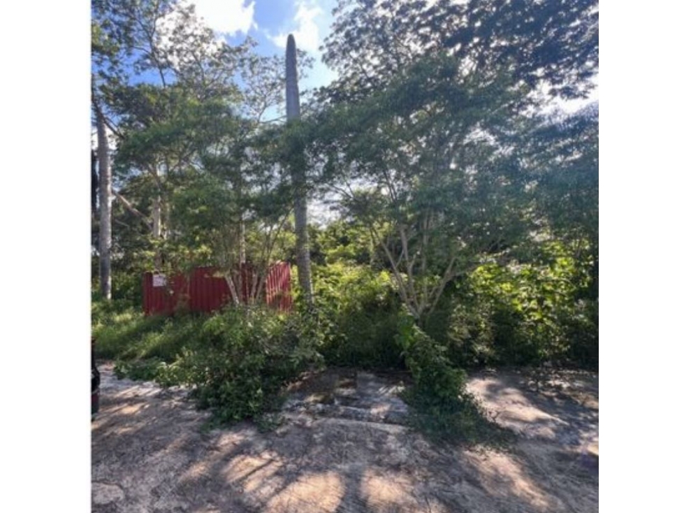 Venta Terreno Club de Golf La Ceiba Mérida Yucatán — foto 5