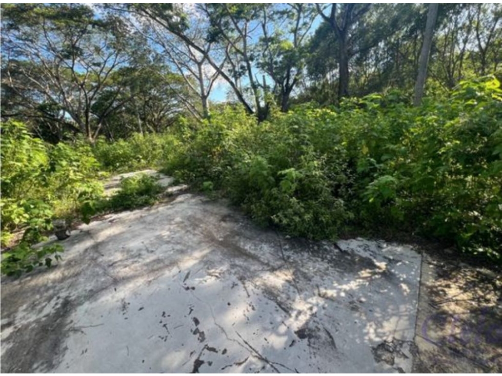 Venta Terreno Club de Golf La Ceiba Mérida Yucatán — foto 6