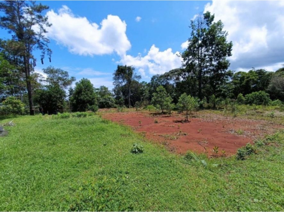 VENTA TERRENO COLÓN A PIE DE CARRETERA (EC) - 1