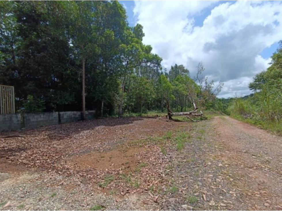 VENTA TERRENO COLÓN A PIE DE CARRETERA (EC) - 6
