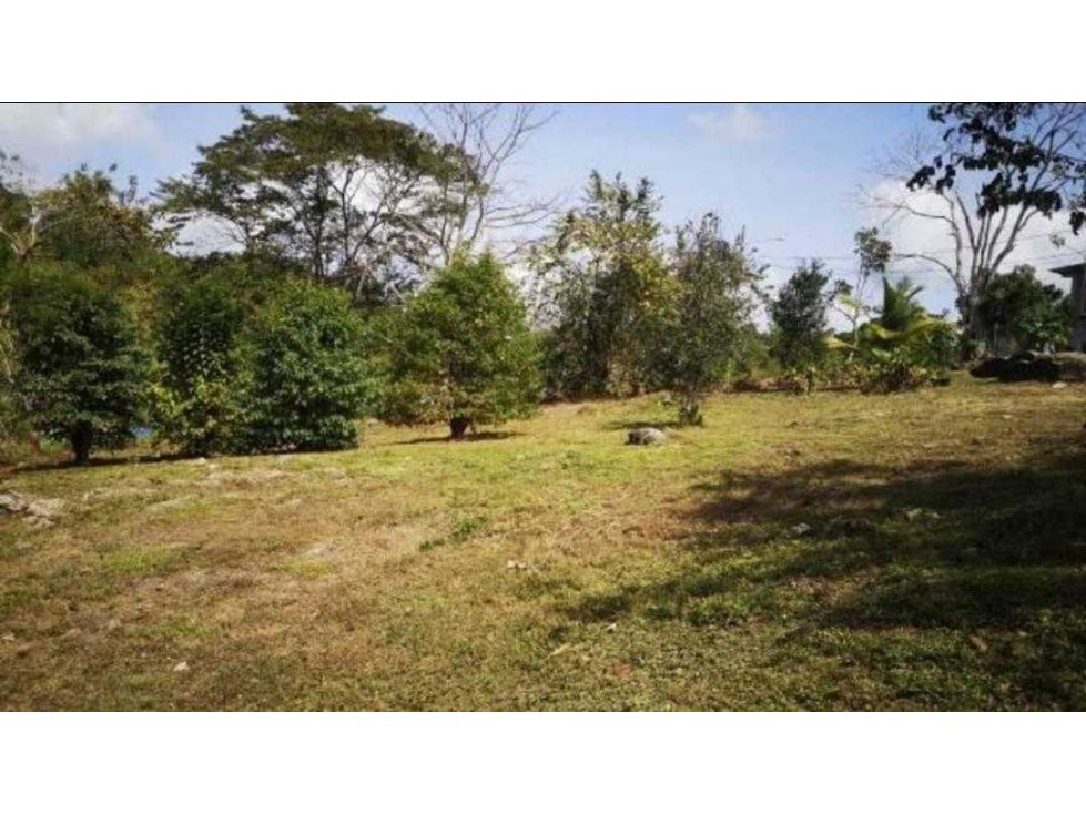 VENTA TERRENO COLÓN NUEVO SAN JUAN — foto 3
