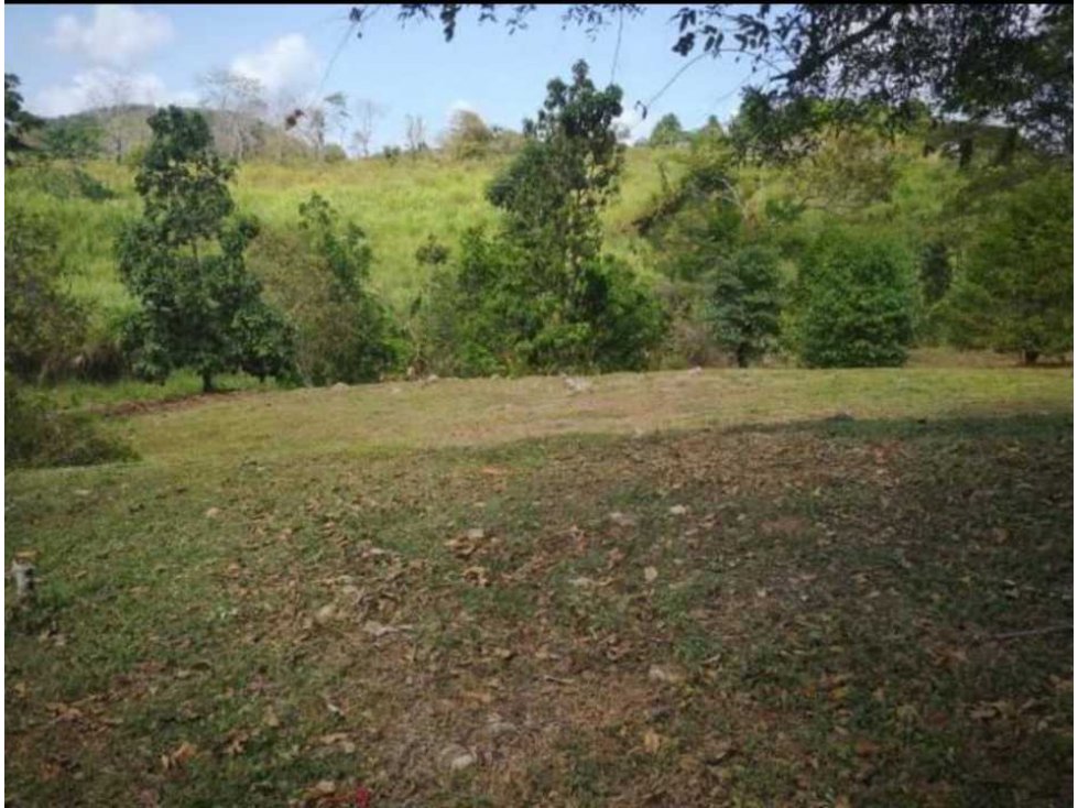 VENTA TERRENO COLÓN NUEVO SAN JUAN — foto 4