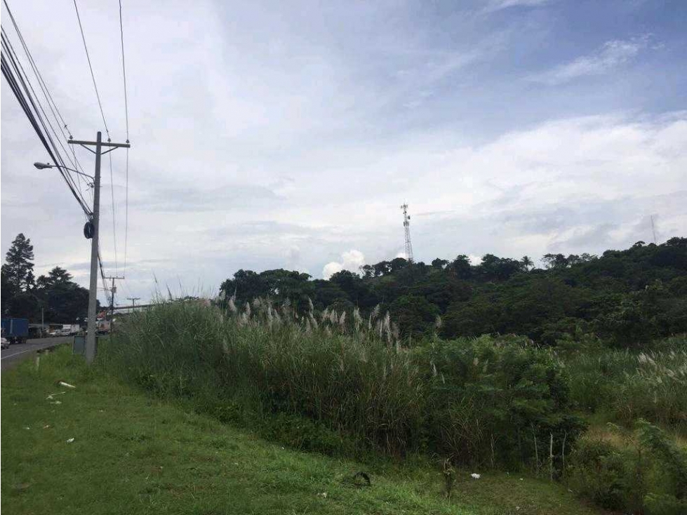 VENDO TERRENO DE 5.4 HECTÁREAS EN COLÓN IDEAL PARA DESARROLLO - 2