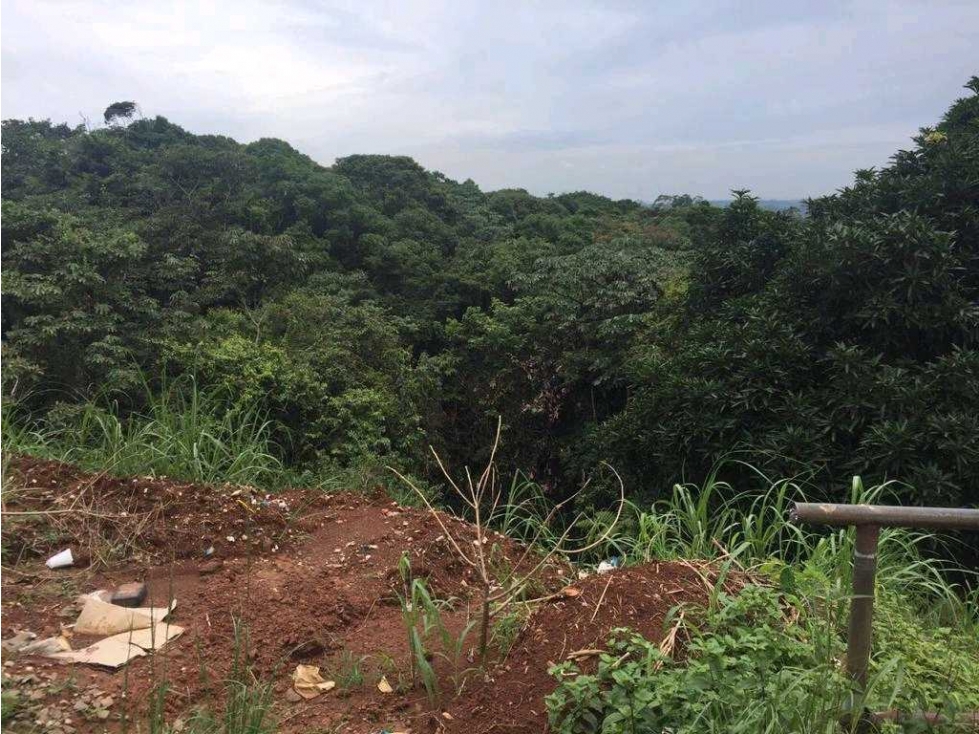 VENDO TERRENO DE 5.4 HECTÁREAS EN COLÓN IDEAL PARA DESARROLLO - 3