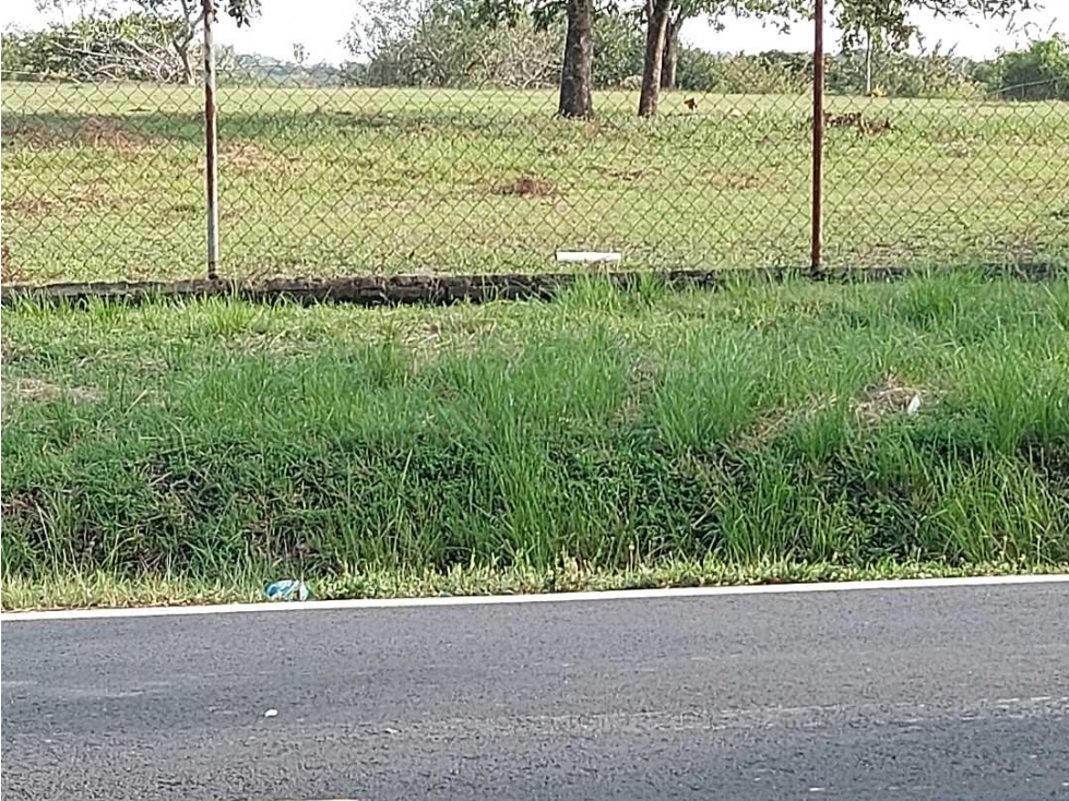 VENTA TERRENO COMERCIAL PENONOMÉ 5000m2 - 1