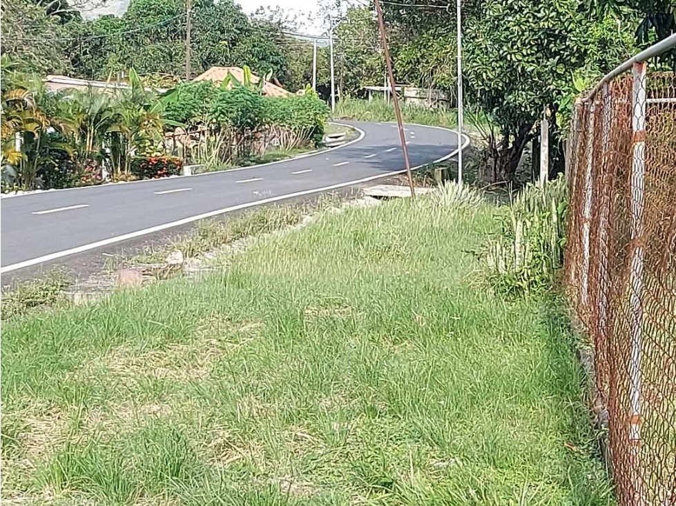 VENTA TERRENO COMERCIAL PENONOMÉ 5000m2 - 4