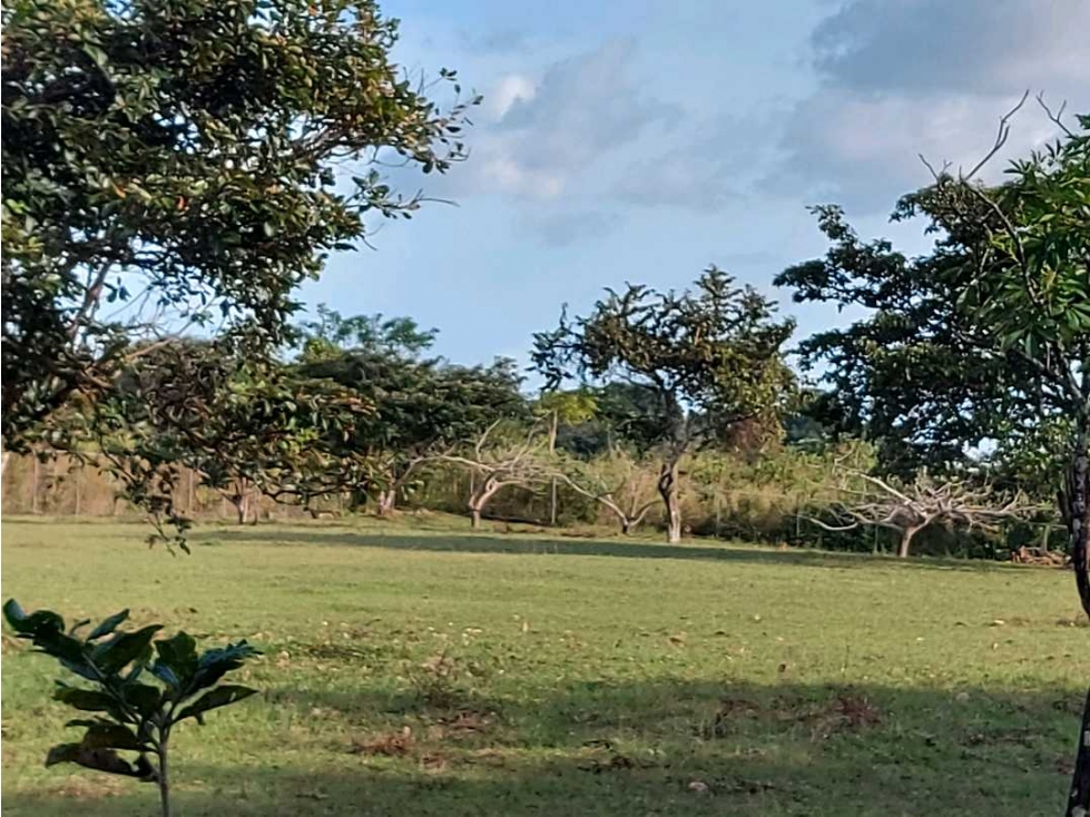 VENTA TERRENO COMERCIAL PENONOMÉ 5000m2 - 5