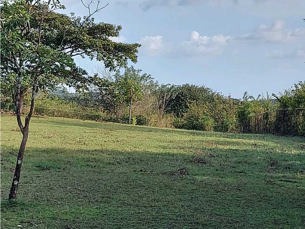 VENTA TERRENO COMERCIAL PENONOMÉ 5000m2 - 6