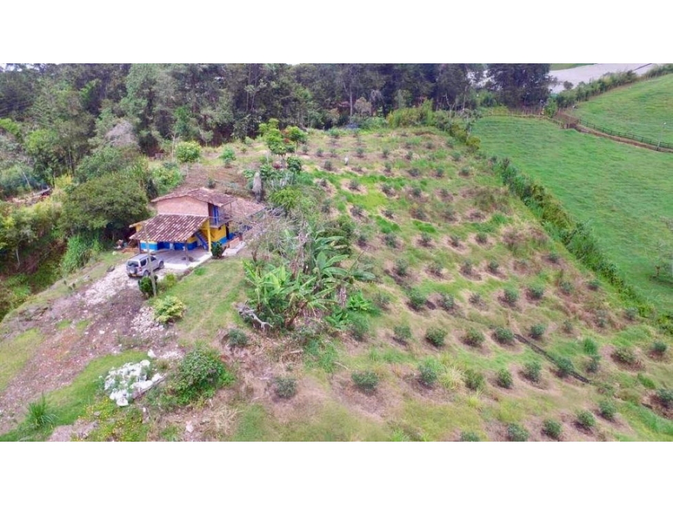 Venta Terreno uso agricola y turístico vía Marinilla hacia El Peñón — foto 2