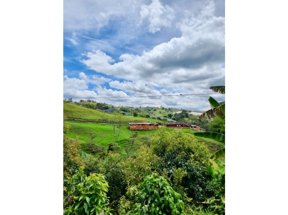 Venta Terreno uso agricola y turístico vía Marinilla hacia El Peñón — foto 6