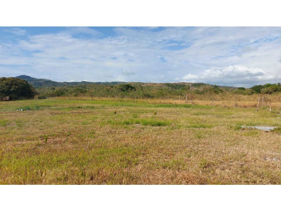 VENTA TERRENO EN AGUAS BLANCAS PENONOMÉ - 1