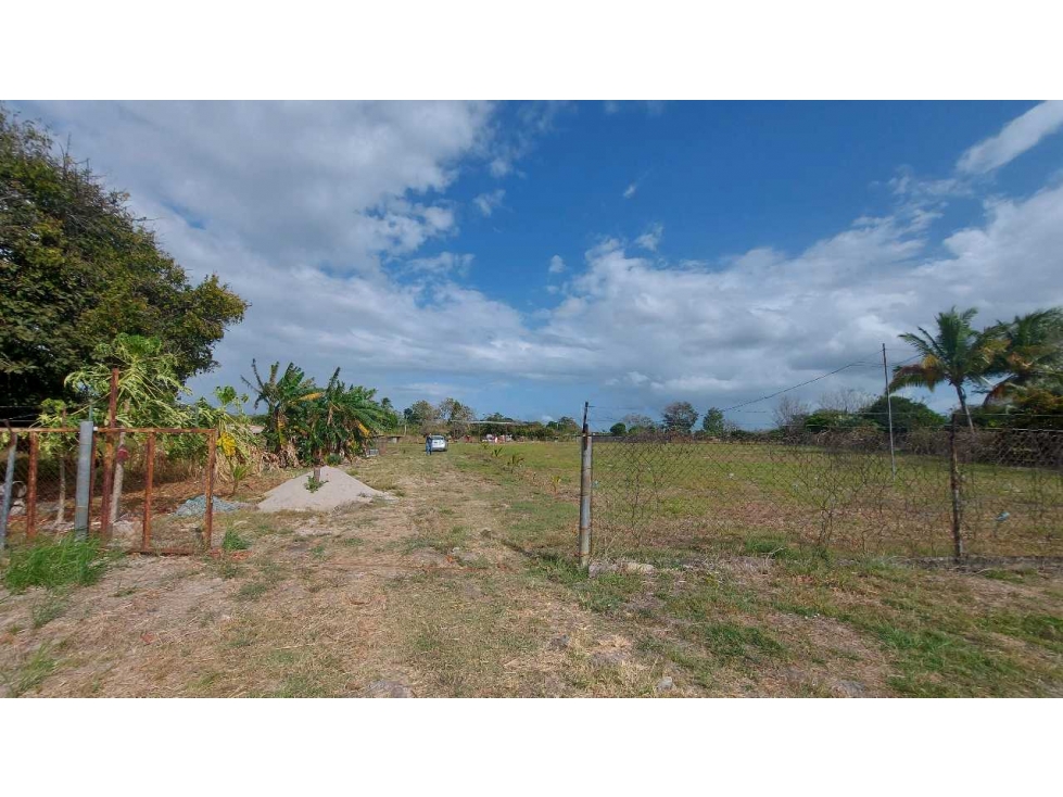 VENTA TERRENO EN AGUAS BLANCAS PENONOMÉ - 2