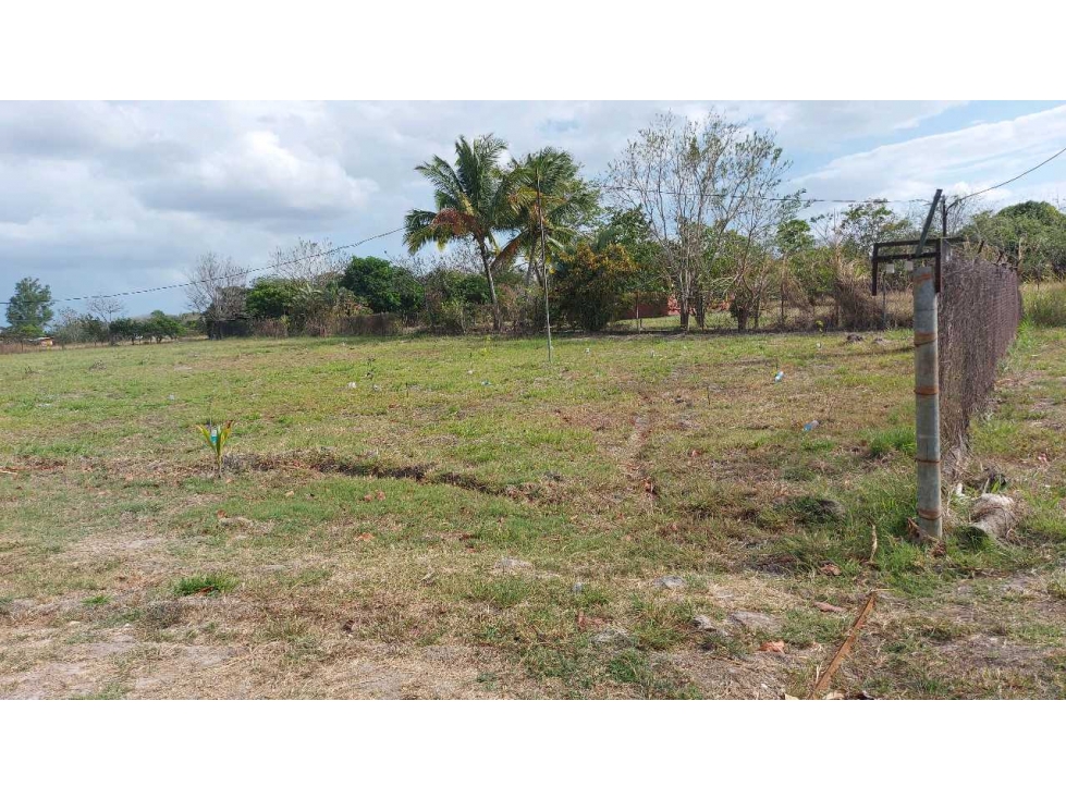 VENTA TERRENO EN AGUAS BLANCAS PENONOMÉ - 4