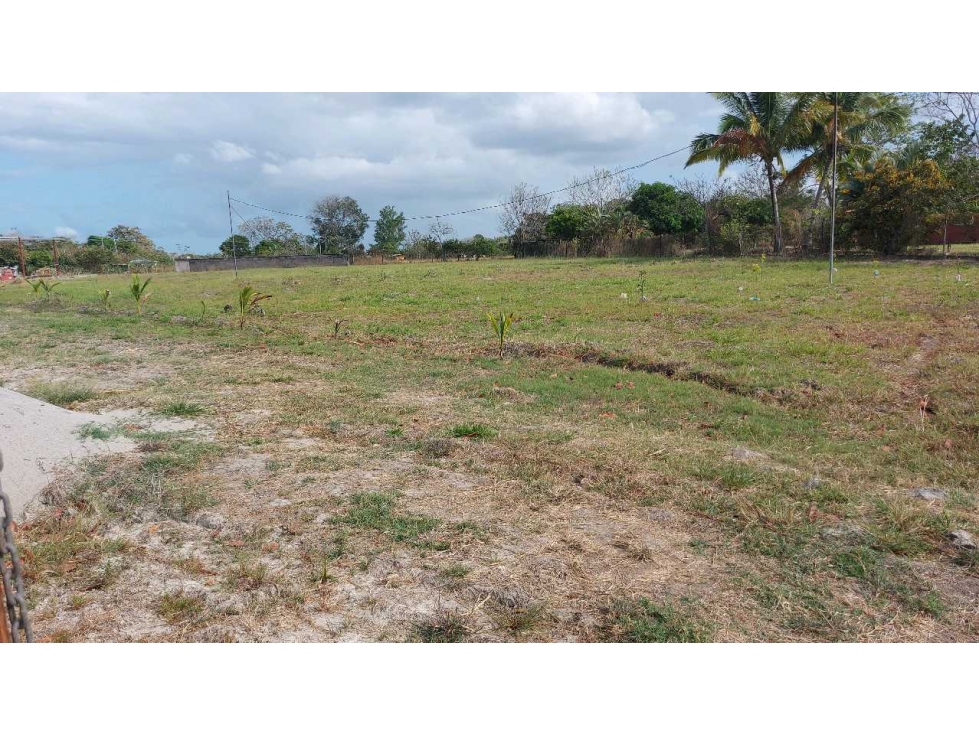 VENTA TERRENO EN AGUAS BLANCAS PENONOMÉ - 6