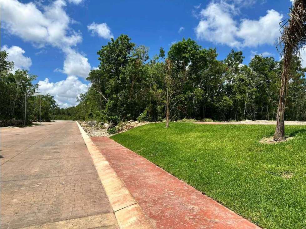 VENTA hermoso terreno en Altai en esquina junto a áreas verdes - 3