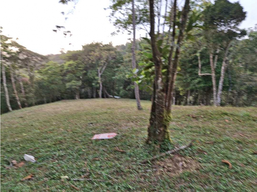 Venta terreno en Altos de Cerro Azul - 2