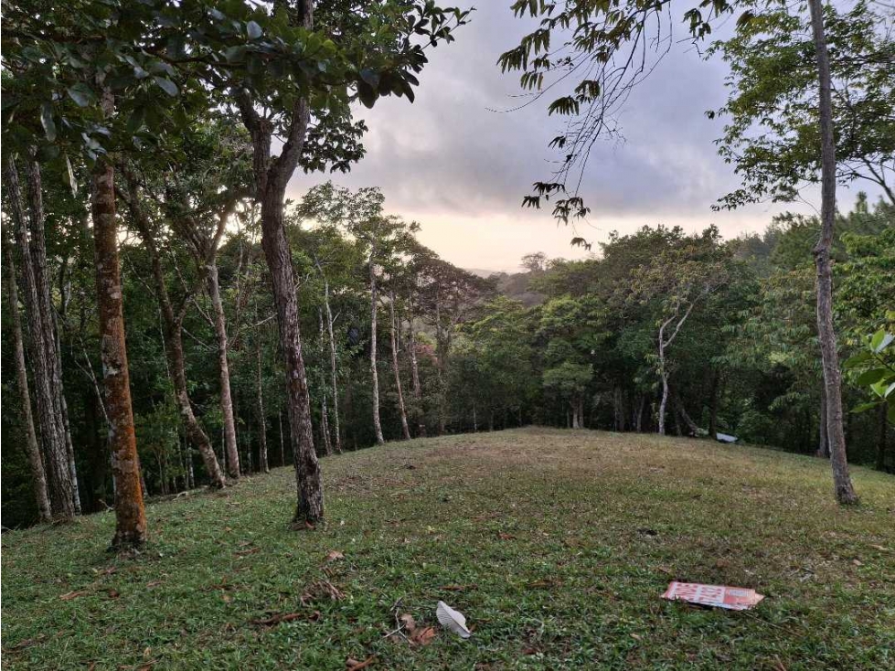 Venta terreno en Altos de Cerro Azul - 3