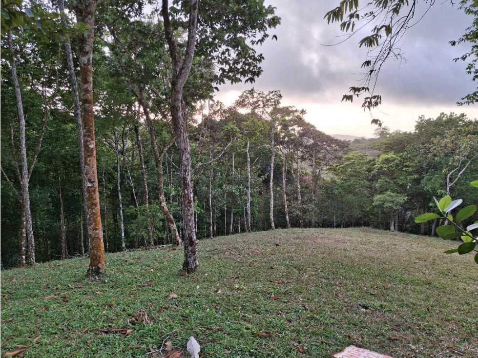 Venta terreno en Altos de Cerro Azul - 4