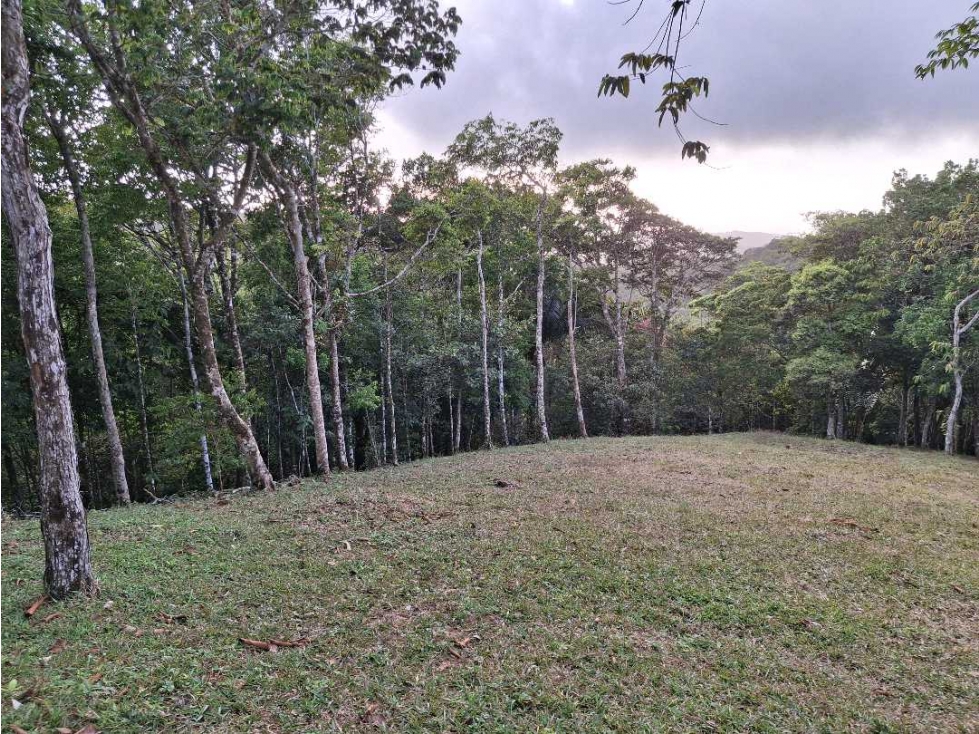 Venta terreno en Altos de Cerro Azul - 5