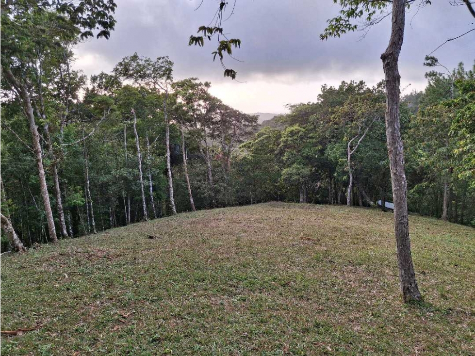 Venta terreno en Altos de Cerro Azul - 6