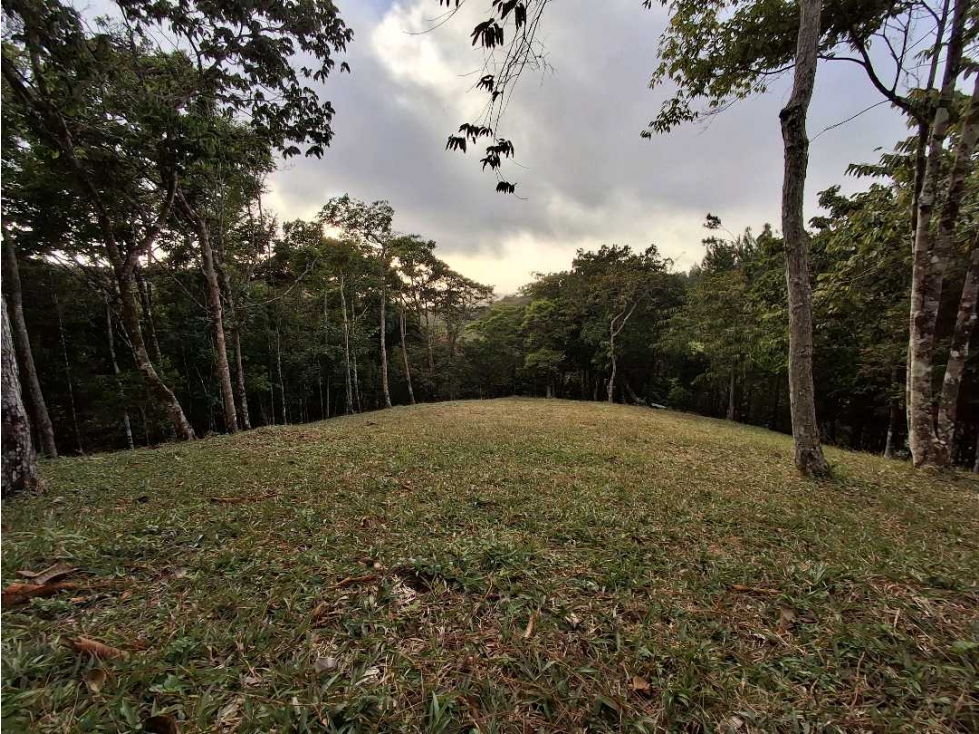 Venta terreno en Altos de Cerro Azul - 1