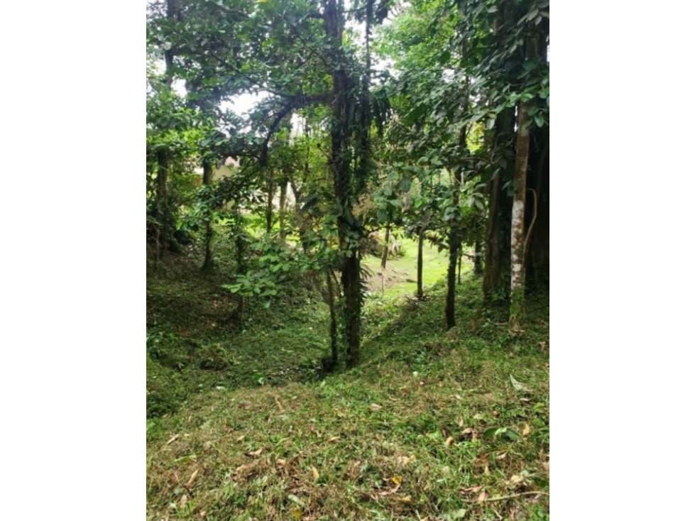 VENTA TERRENO EN ALTOS DEL MARIA - 2