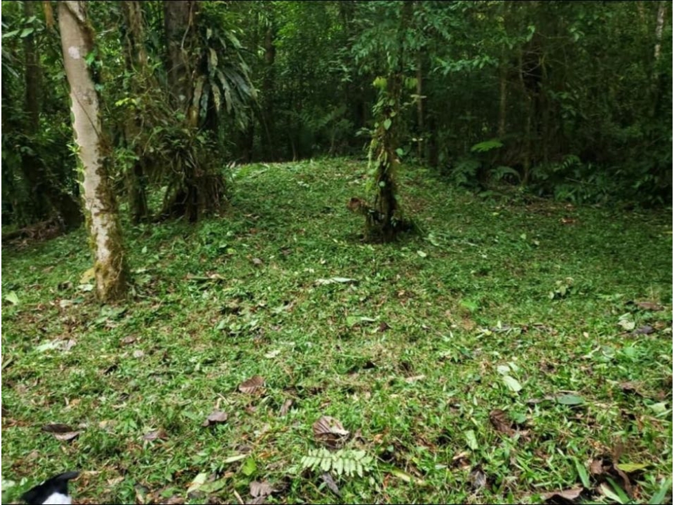 VENTA TERRENO EN ALTOS DEL MARIA - 3