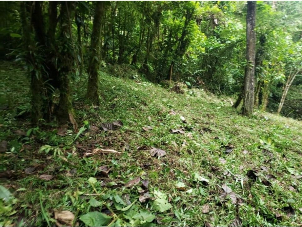 VENTA TERRENO EN ALTOS DEL MARIA - 4