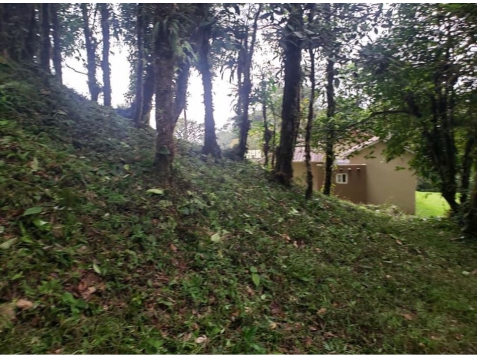 VENTA TERRENO EN ALTOS DEL MARIA - 6