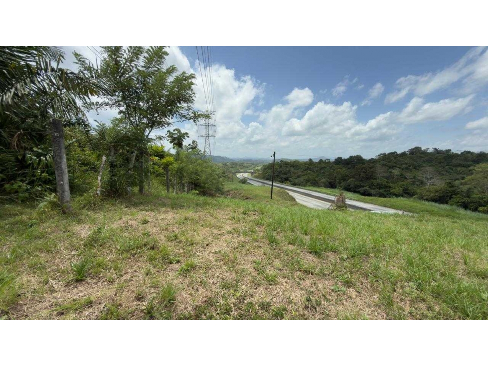 VENTA TERRENO EN AUTOPISTA PANAMA-COLON 38HÁ GRAN OPORTUNIDAD NRR - 2