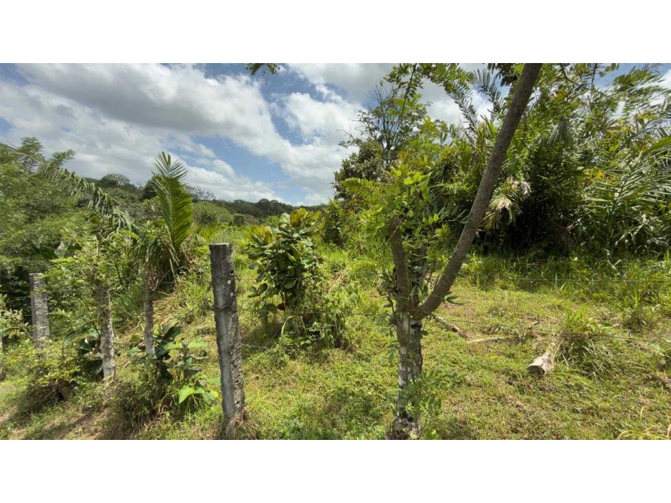 VENTA TERRENO EN AUTOPISTA PANAMA-COLON 38HÁ GRAN OPORTUNIDAD NRR - 5