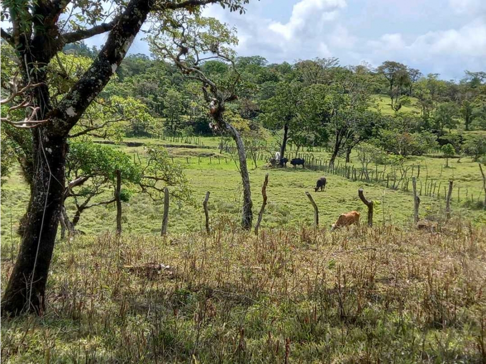 VENTA TERRENO EN BOQUETE CHIRIQUI - 6