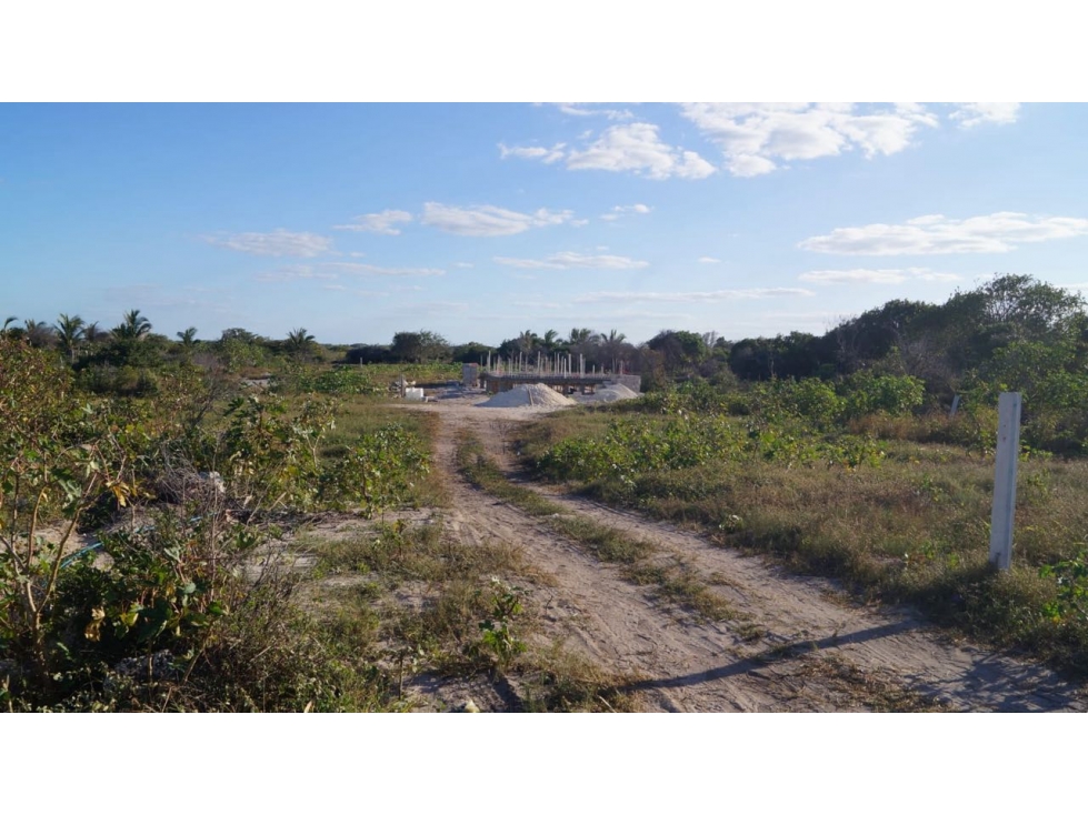 Venta terrenos y Casas en Chuburna Puerto Mérida Yucatán - 3