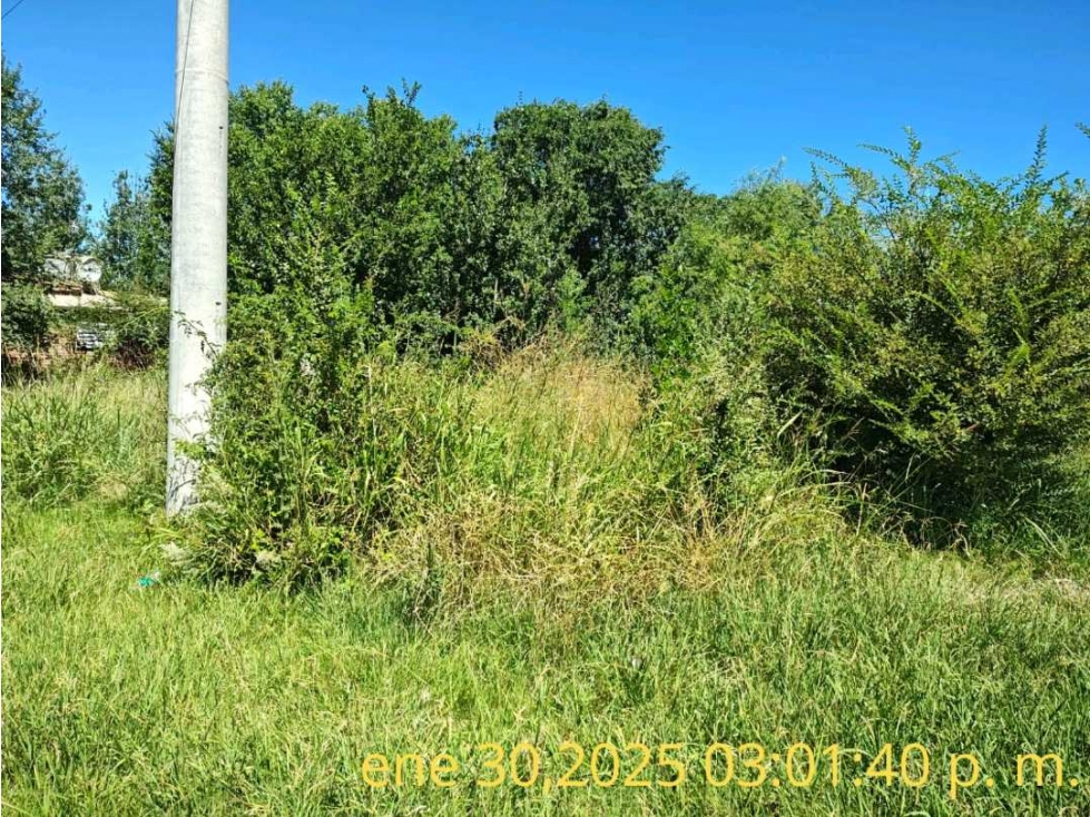 retasado Venta terreno en el trapiche SL - 6