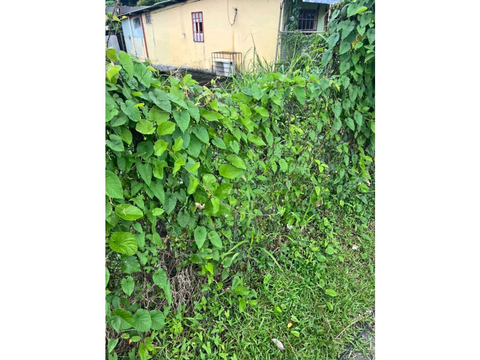 VENTA TERRENO EN LA TRANSISTMICA DE 1445 MT2 , LT - 2