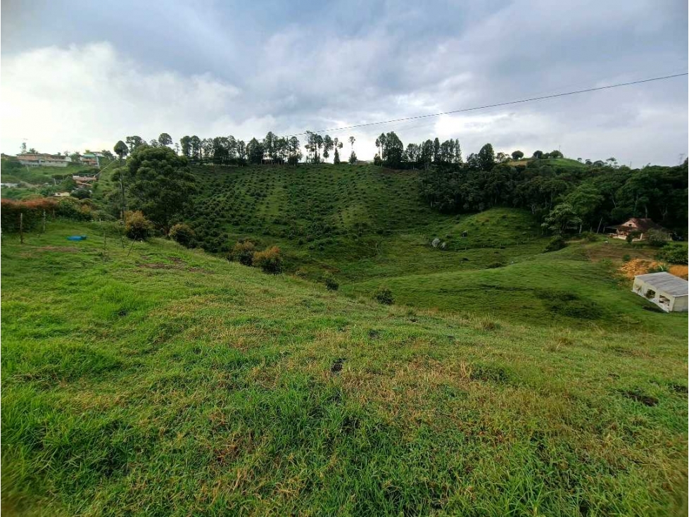Terreno en Marinilla Antioquia — foto 2