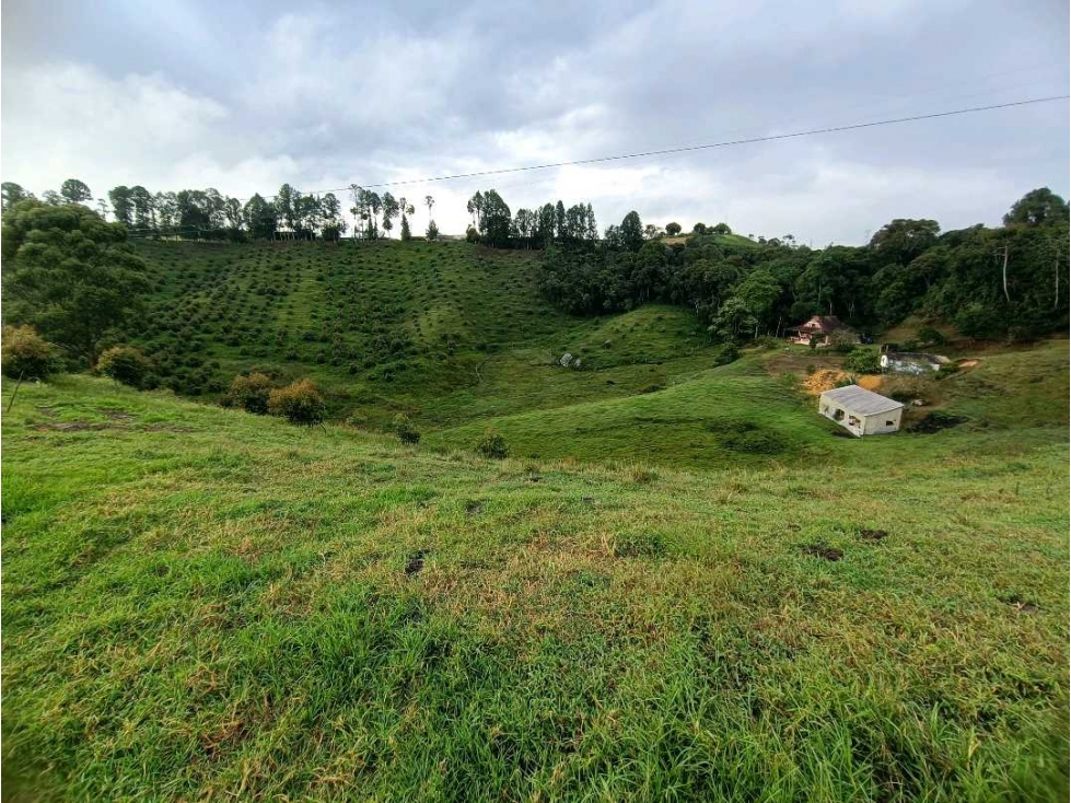 Terreno en Marinilla Antioquia — foto 4