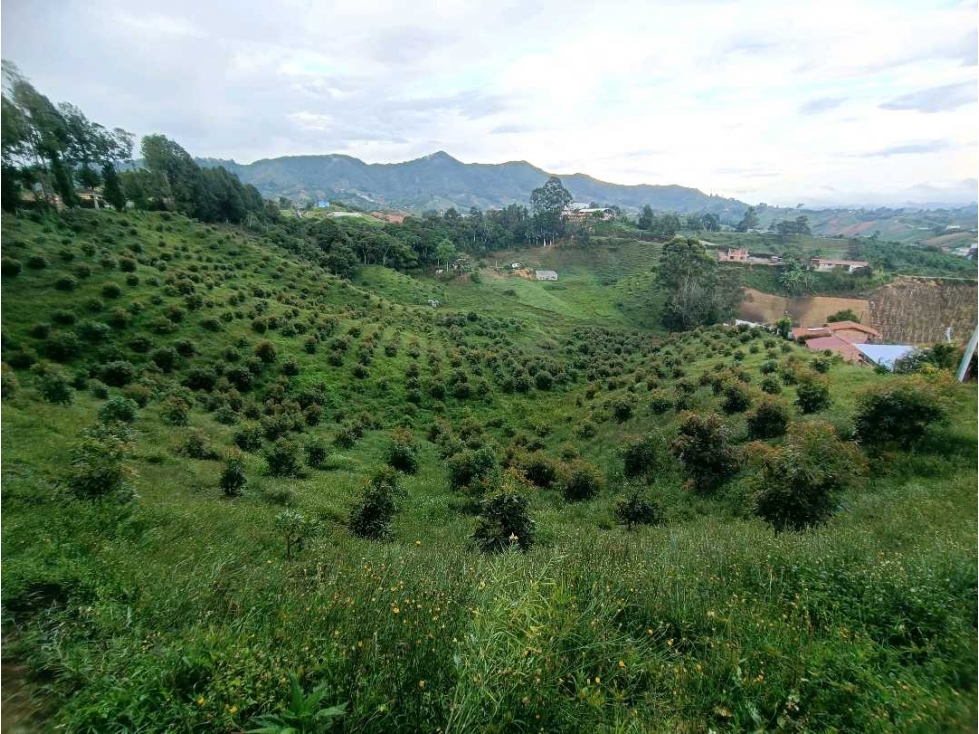 Terreno en Marinilla Antioquia — foto 5