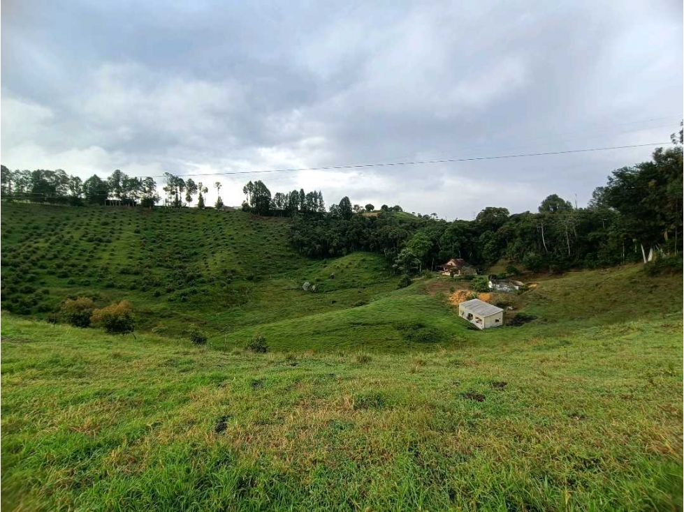 Terreno en Marinilla Antioquia — foto 6