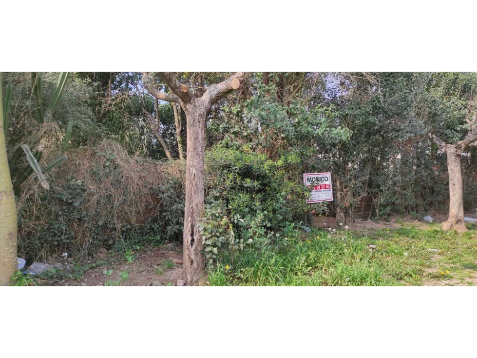Venta terreno en paso del rey - 6
