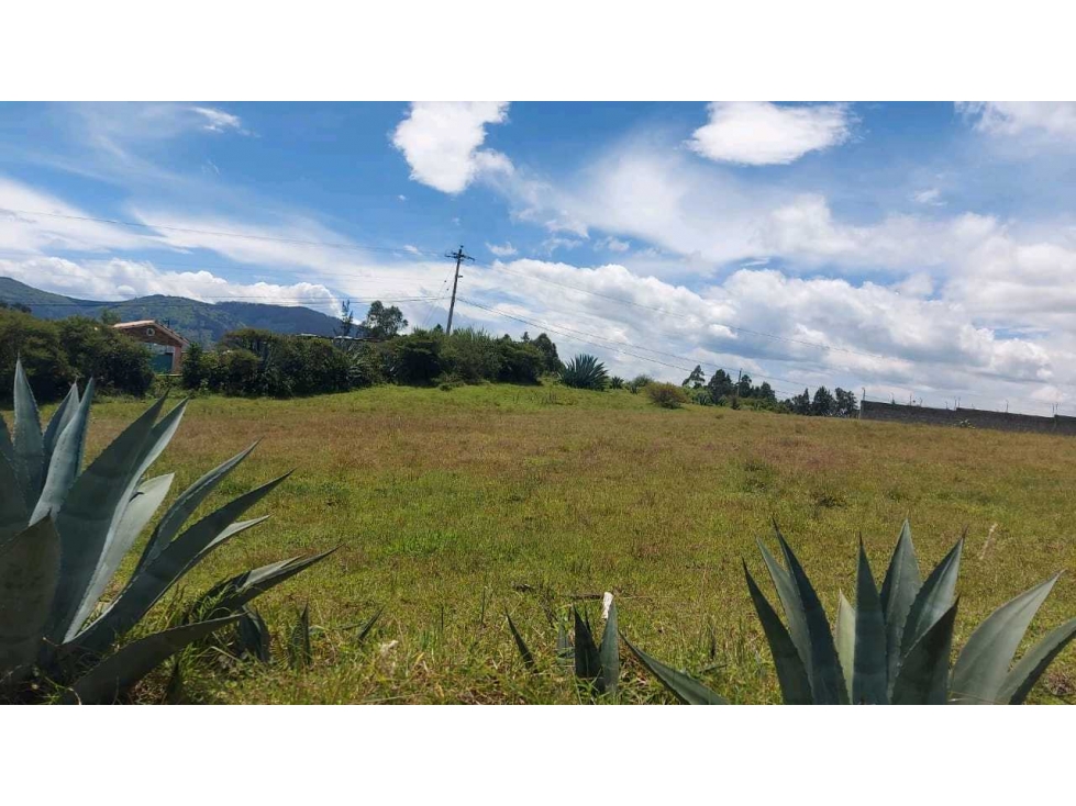 VENTA TERRENO ESQUINERO, ALANGASI, VALLE DE LOS CHILLOS - 2