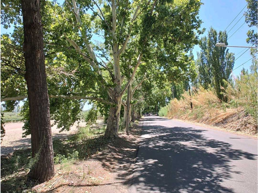 VENTA TERRENO EXCEPCIONAL SOBRE CALLE MARTINEZ Y NUEVA AUTOPISTA-JUNIN - 2