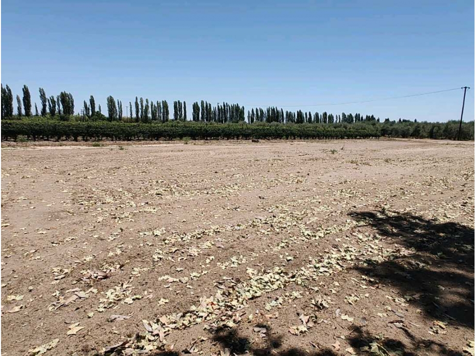 VENTA TERRENO EXCEPCIONAL SOBRE CALLE MARTINEZ Y NUEVA AUTOPISTA-JUNIN - 3