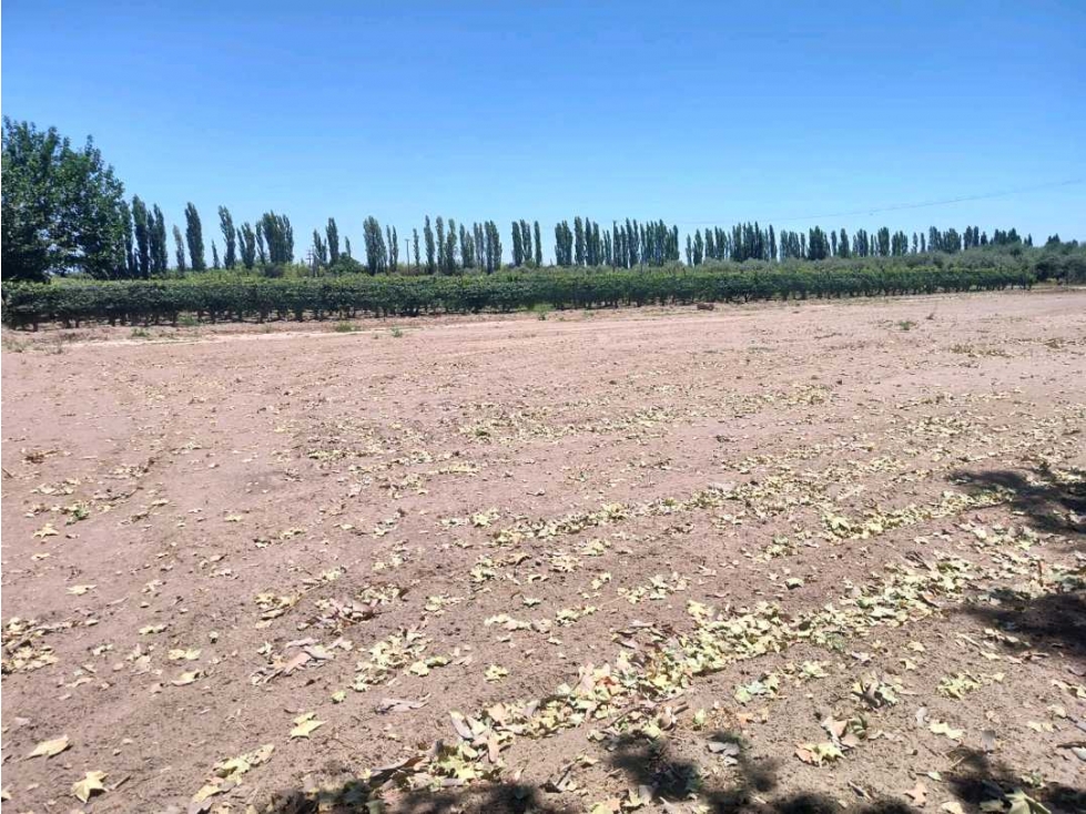 VENTA TERRENO EXCEPCIONAL SOBRE CALLE MARTINEZ Y NUEVA AUTOPISTA-JUNIN - 4
