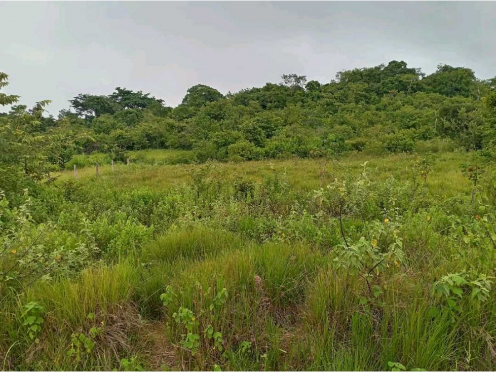 VENTA TERRENO GANGA TORO BRAVO PENONOME