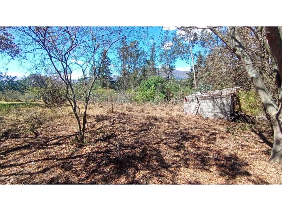 Venta Terreno Tumbaco, con 10.997 m² con fácil acceso al Chaquiñan — foto 4
