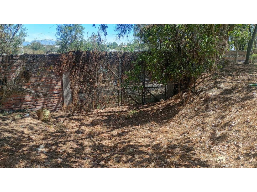 Venta Terreno Tumbaco, con 10.997 m² con fácil acceso al Chaquiñan — foto 6