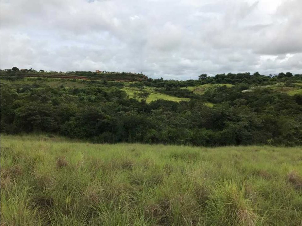 VENTA TERRENO VALLE DE ANTÓN, VIA PRINCIPAL - 2