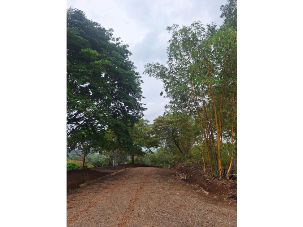 VENTA TERRENO/FINCA TOCUMEN 9,842m2 CERCA CARRETERA PRINCIPAL MLD - 2